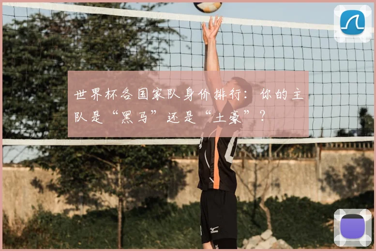 世界杯各国家队身价排行：你的主队是“黑马”还是“土豪”？