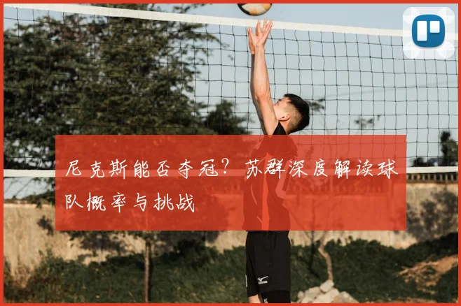 尼克斯能否夺冠?苏群深度解读球队概率与挑战